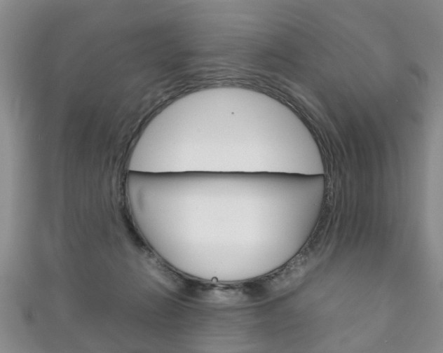 X0000111920270200907271015