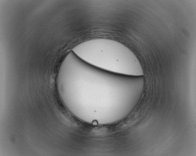X0000111920271200907271015