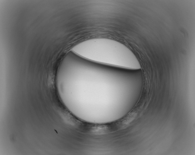 X0000111920274200907271015
