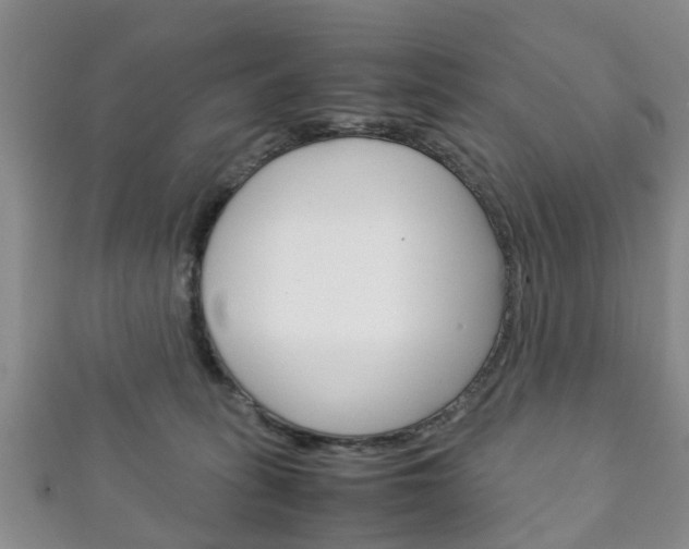 X0000111920275200907271015