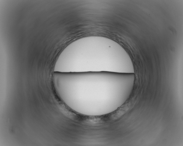 X0000111920278200907271015