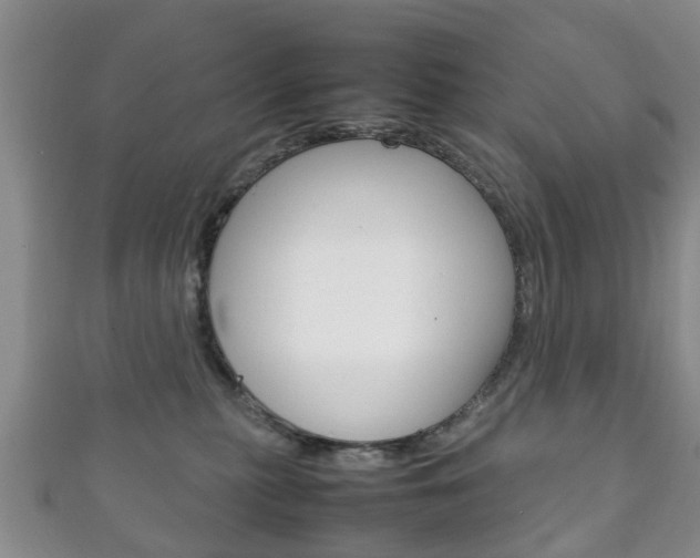X0000111920279200907271016