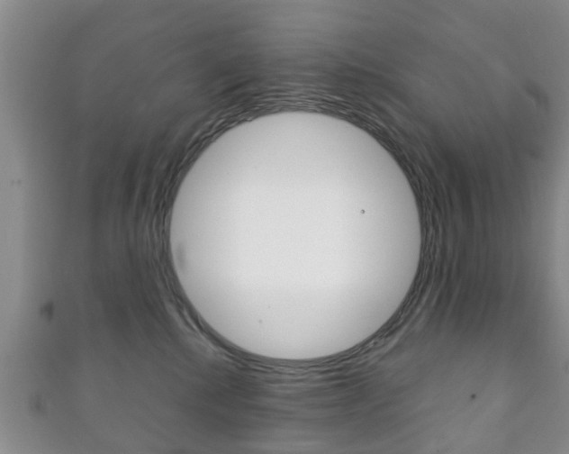 X0000111920280200907271016