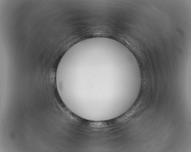 X0000111920281200907271016