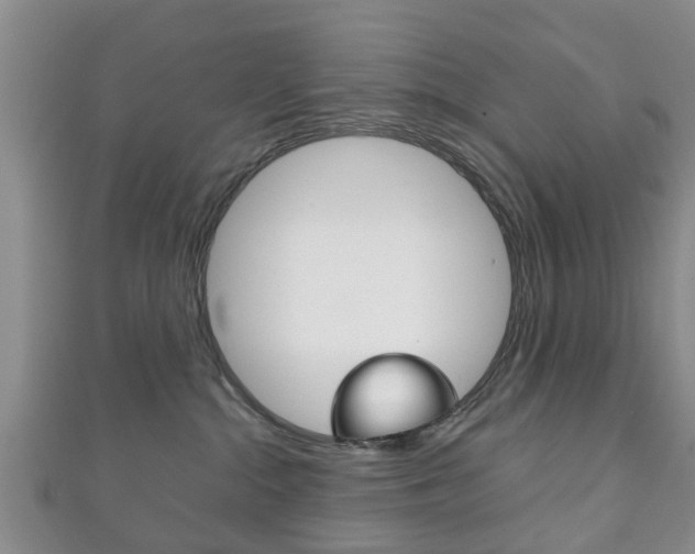 X0000111920284200907271016