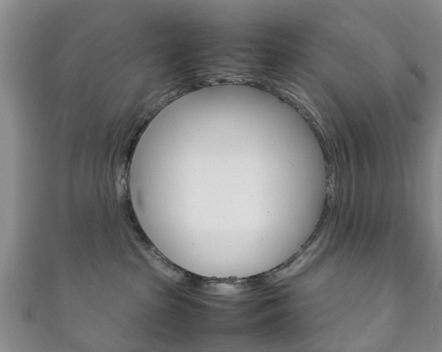 X0000111920285200907271016