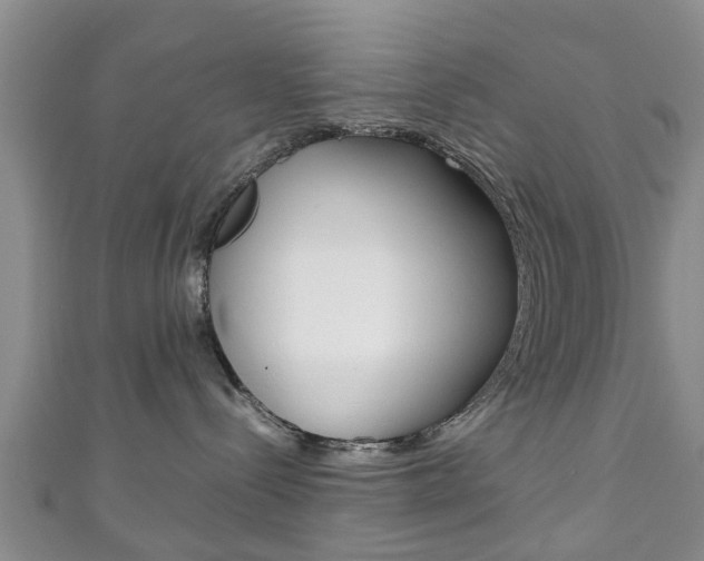 X0000111920288200907271016