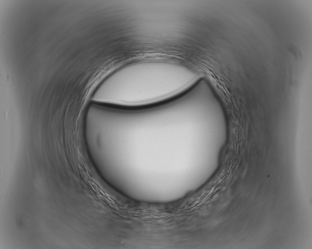 X0000111920289200907271015
