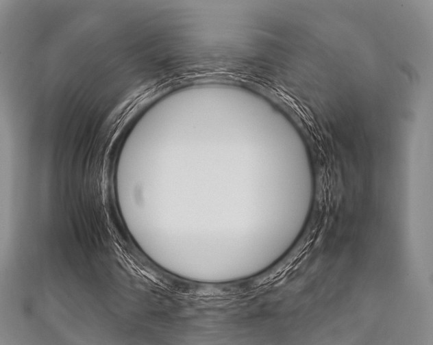 X0000111920290200907271015