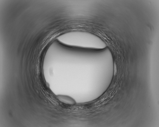 X0000111920291200907271015
