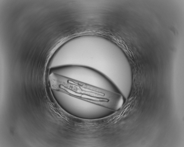 X0000111920292200907271015