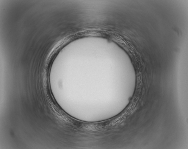 X0000111920293200907271015