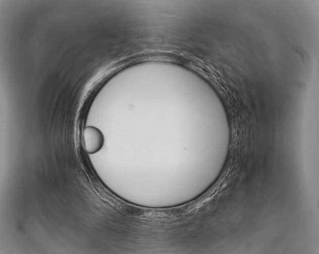 X0000111920294200907271015