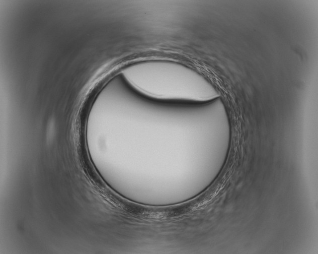 X0000111920295200907271015
