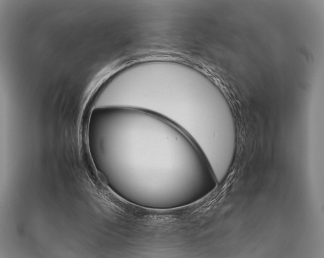 X0000111920296200907271015