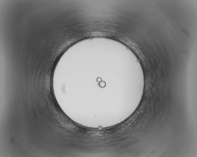 X0000111920297200907271015