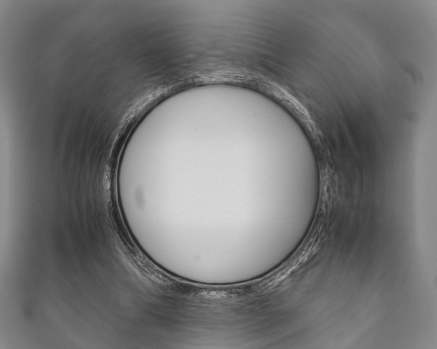 X0000111920298200907271015
