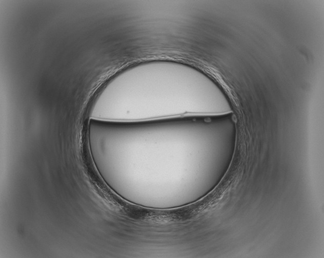 X0000111920299200907271015