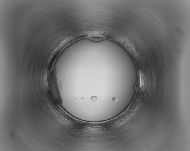 X0000111920300200907271015