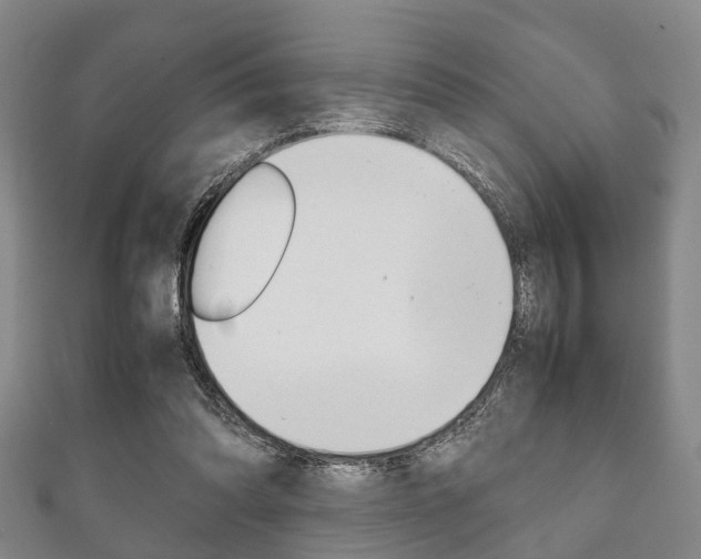 X0000111920302200907271015