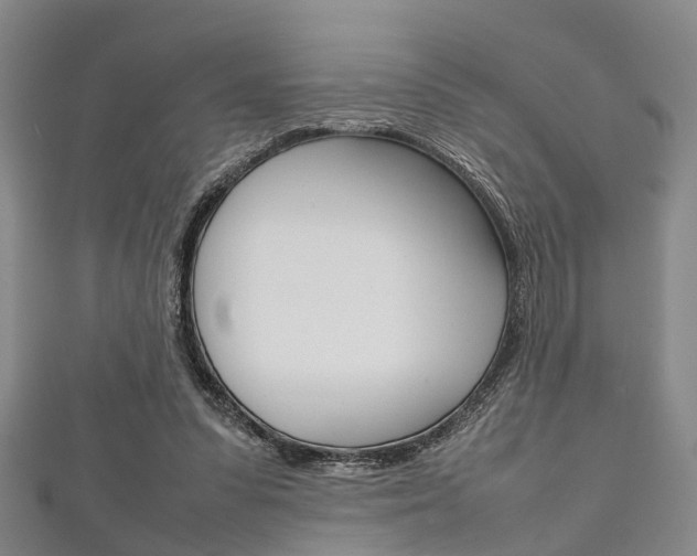 X0000111920303200907271015