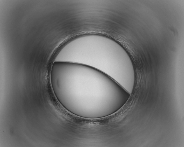 X0000111920304200907271015