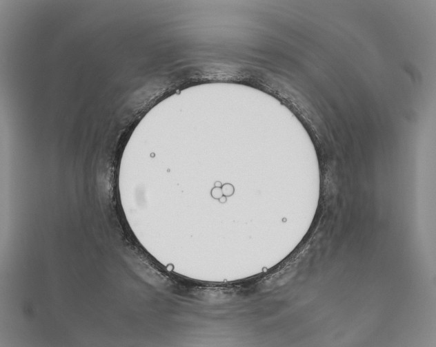 X0000111920305200907271015