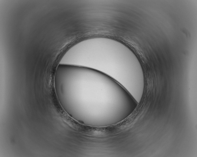 X0000111920308200907271015