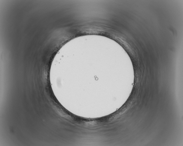 X0000111920309200907271015