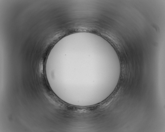 X0000111920310200907271015