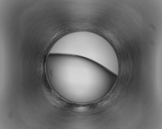 X0000111920312200907271015