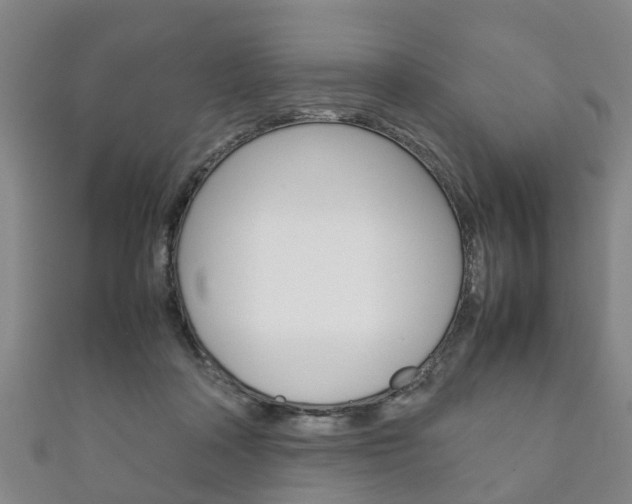 X0000111920314200907271015