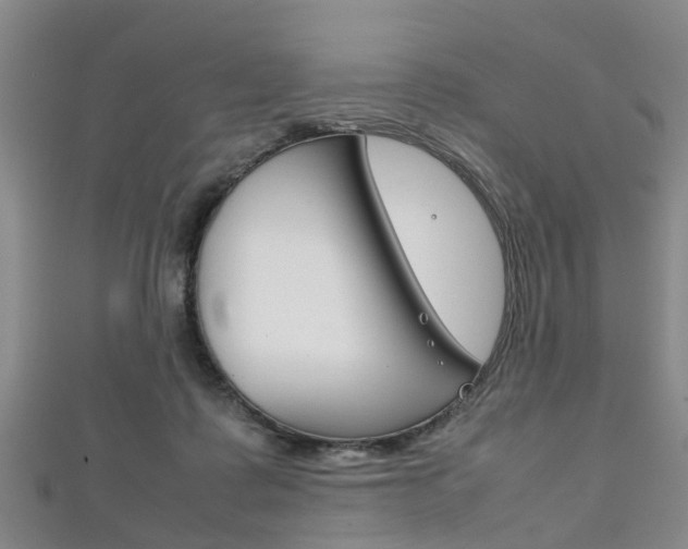 X0000111920315200907271014