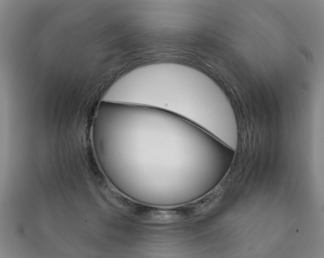 X0000111920316200907271014