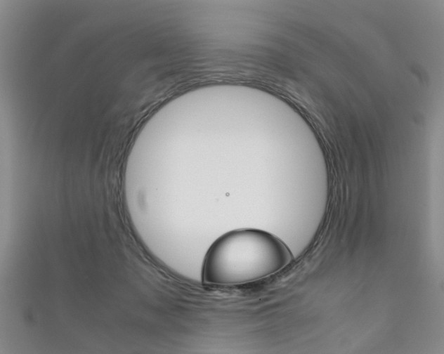 X0000111920317200907271014
