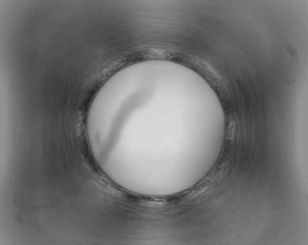 X0000111920318200907271014