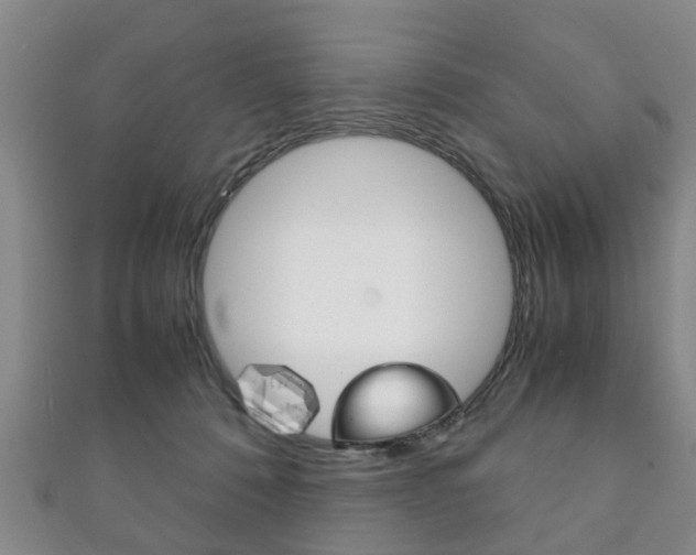 X0000111920320200907271014