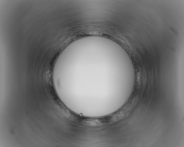 X0000111920322200907271014
