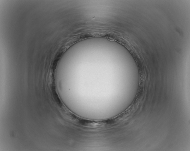 X0000111920323200907271014