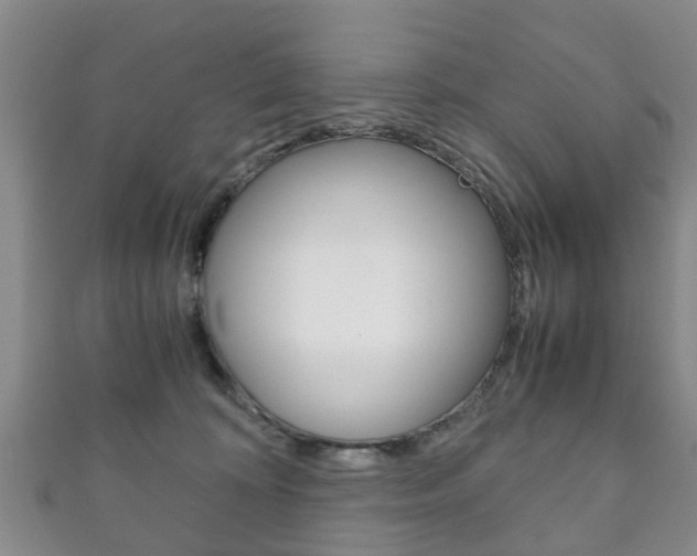 X0000111920324200907271014