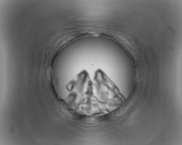X0000111920325200907271014