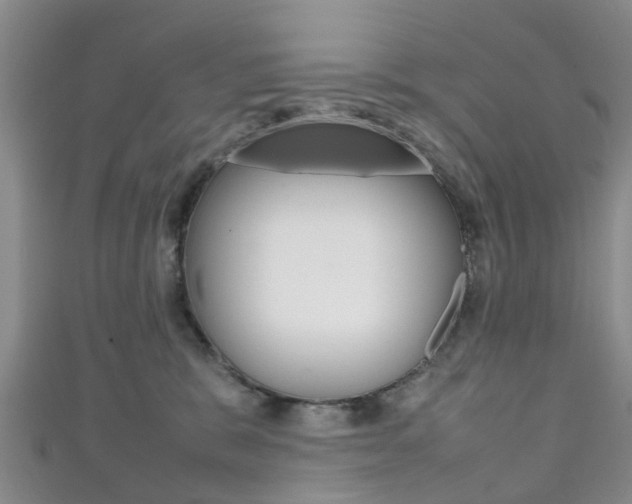 X0000111920327200907271014