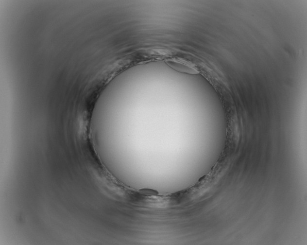 X0000111920328200907271014