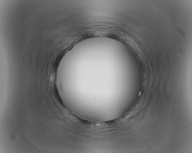 X0000111920329200907271014