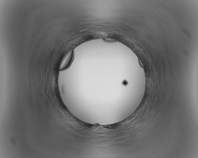 X0000111920331200907271014