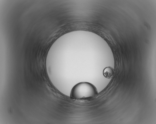 X0000111920332200907271014