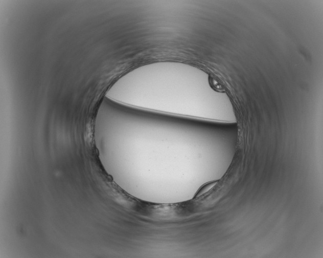 X0000111920335200907271014