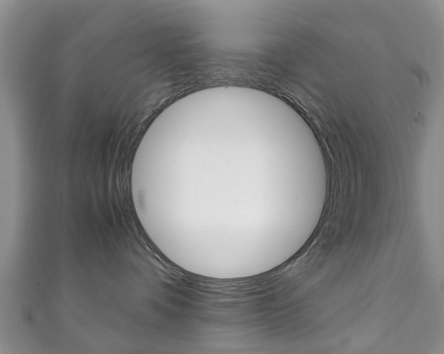 X0000111920336200907271014
