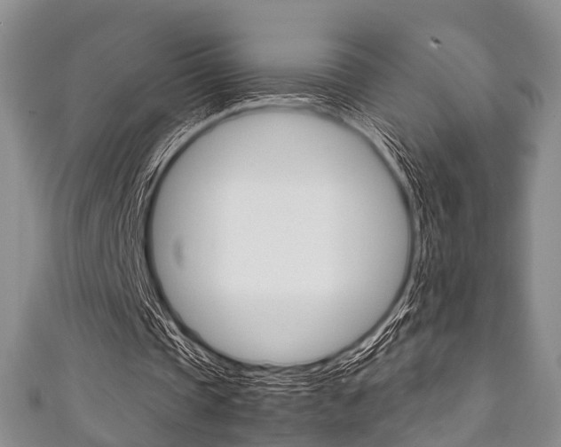 X0000111920337200907271014