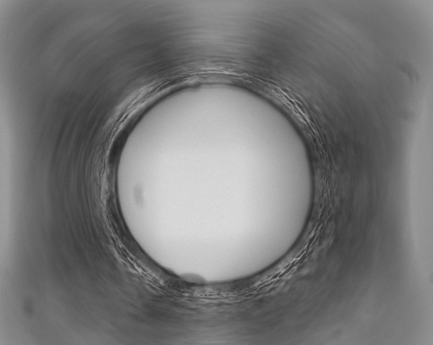 X0000111920338200907271014